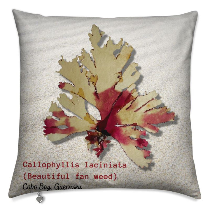 Beautiful fan weed cushion