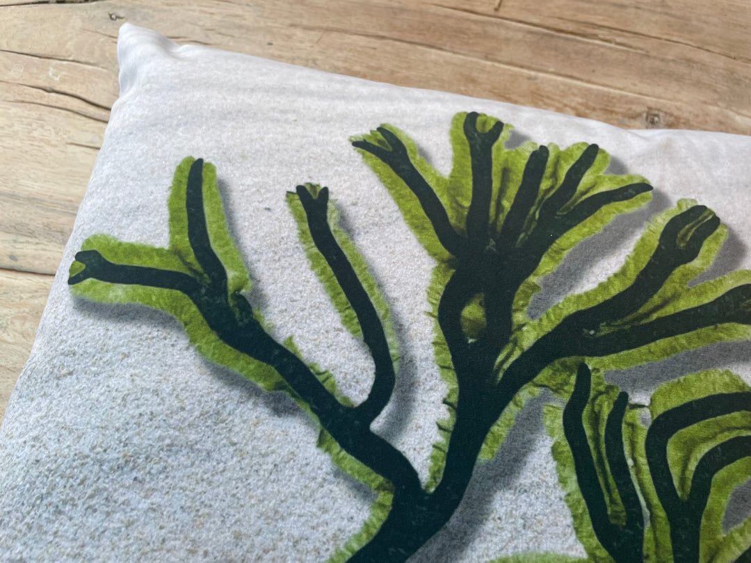 Dead man's fingers cushion