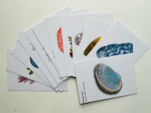 12 Postcard Pack