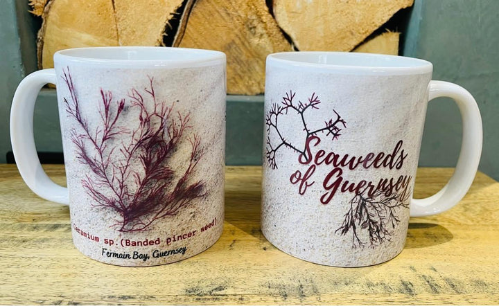 Seaweed mug